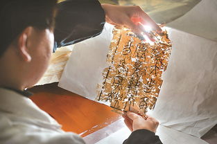 朝雪录超话背后的惊人真相！