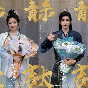 《朝雪录》：大婚大丧大案背后的故事