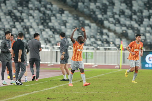 球员进球后与球迷互动