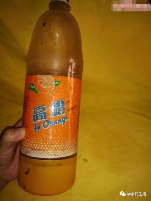 惊！喝未洗罐装饮料，马来西亚青年竟染鼠尿病离世