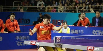 樊振东乒超12连胜背后的拼搏故事