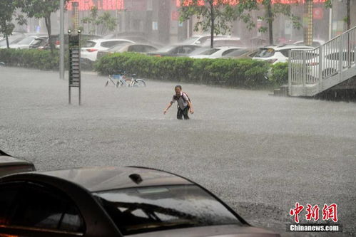 人们在暴雨中行走