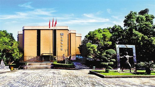 老了，我的底气源于何处？