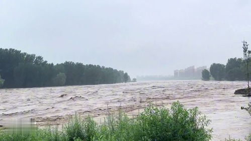 河北阜平强降雨致多人伤亡失踪！救援刻不容缓
