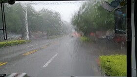 暴雨中模糊的道路
