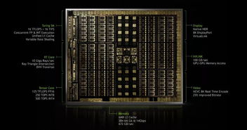 英伟达显卡架构