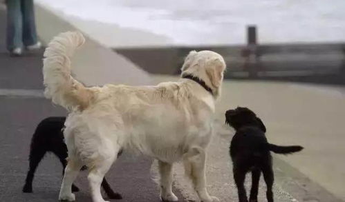 7/26吧友们的乐子大集合！