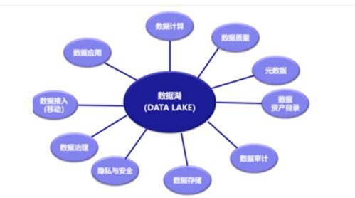 数据湖新思路：BLM为何比LLM更适合？