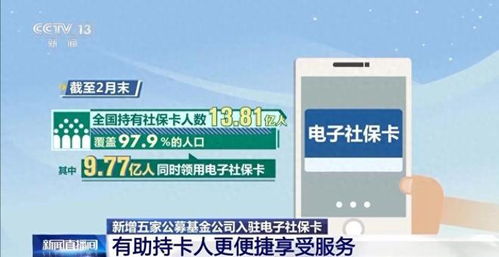 个人养老金产品种类展示