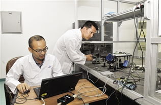 科研人员研究大模型