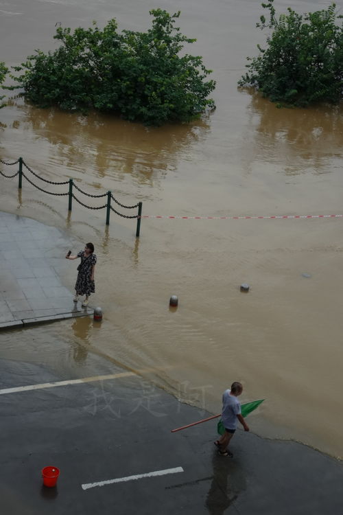 洪水现场