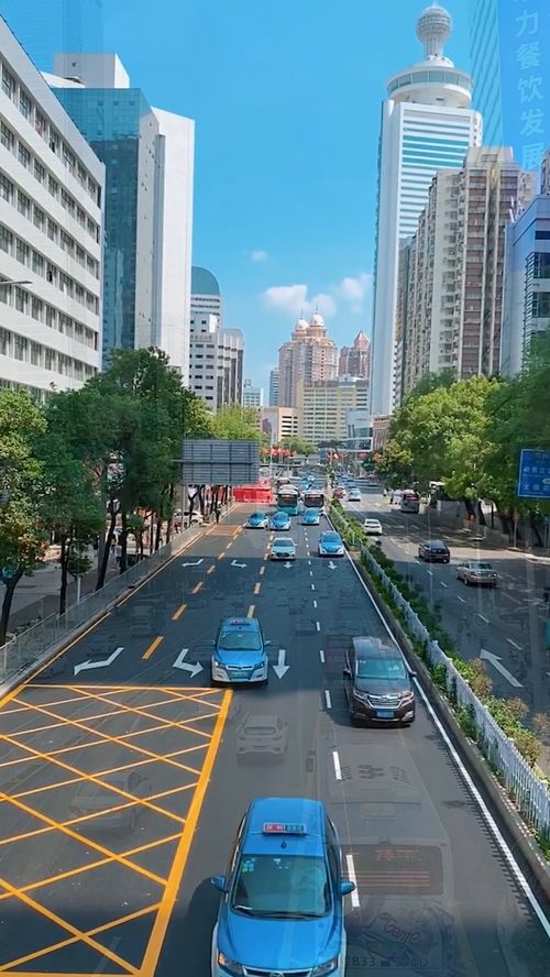 台网红‘馆长’惊呆！澳门生活超乎想象