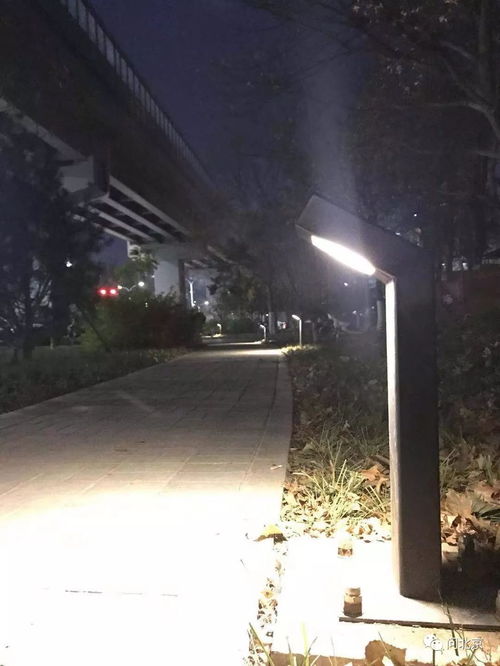 智能路灯与绿化带交相辉映