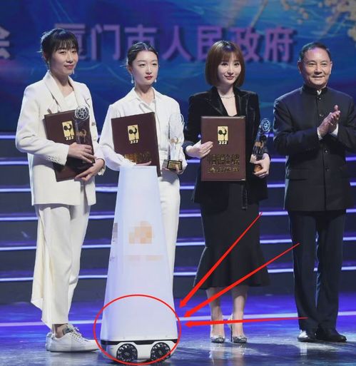 全红婵缺赛谢佩铃夺冠，背后故事引人深思！