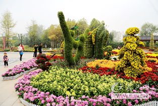 市民送别宋士佳