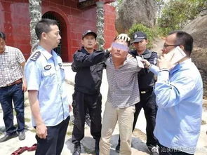 警方抓捕嫌疑人画面