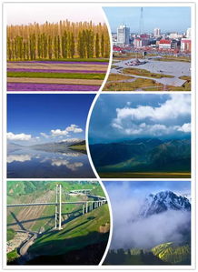 惊魂！4名游客误闯青海无人区被困2天终获救