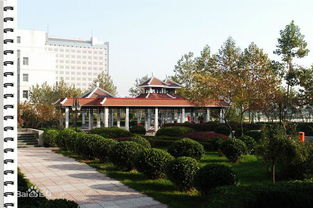 诬告案重创武大，华科乘势崛起成湖北新王牌？