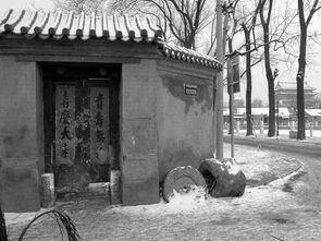 老北京胡同景象