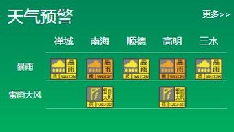 市民查看预警信息