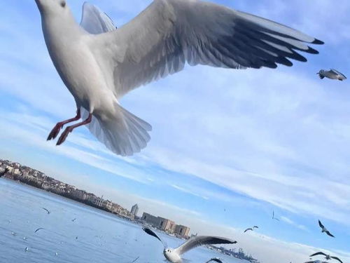 海洋强国建设：浩渺蓝海孕育无限生机