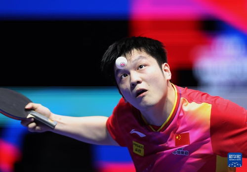 樊振东乒超个人13连胜，王者风采尽显！