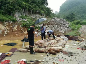 洪水退却后的危险：污染、塌房、霉菌、扎伤不容忽视