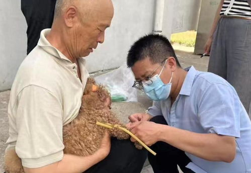 火锅店桌子缝隙内有活蛆爬行