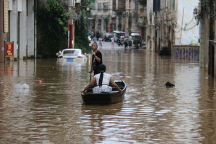 强降雨重创北京河北！灾情惨重，救援刻不容缓
