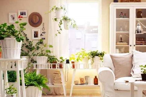 室内因潮湿滋生的霉菌