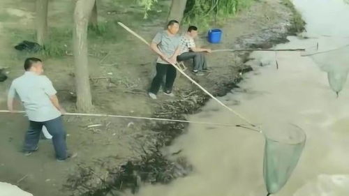 密云特大暴雨！村民开门被水冲跑，现场触目惊心