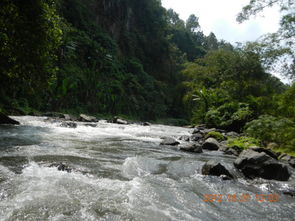 密云河流湍急景象