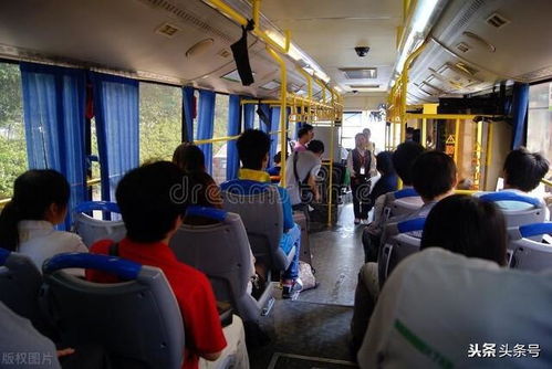 不晕车？这可能违背生理常识！