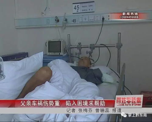 博主景区露营遇险记：一家人抱树七小时等救援