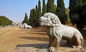 少林寺住持释永信被查，真相令人震惊！