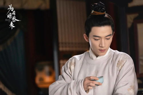 《定风波》定档在即！王星越、向涵之主演，剧情六大看点超精彩