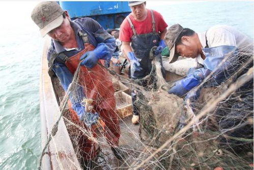 渔民满载而归的画面