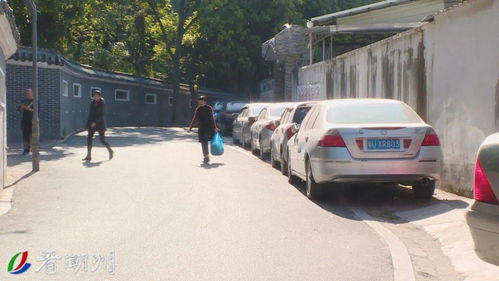 大行P8折叠自行车