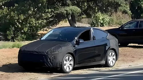 特斯拉要推15万Model Y？配置能砍就砍！