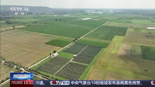 许昌湛北农田被淹？官方辟谣来了！