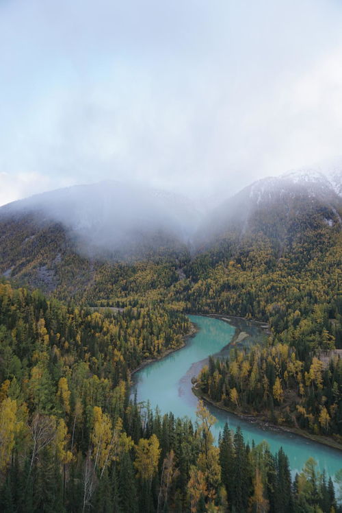 新疆喀纳斯民宿高价引关注 当地积极应对