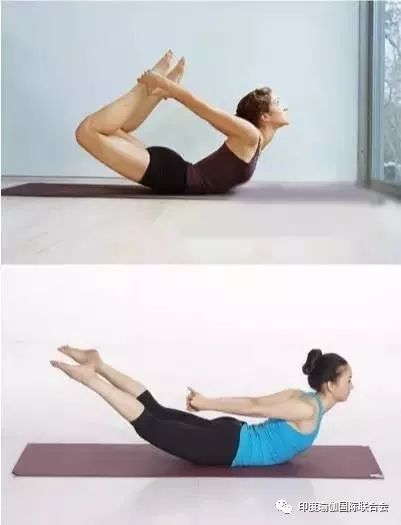 瑜伽体位展示