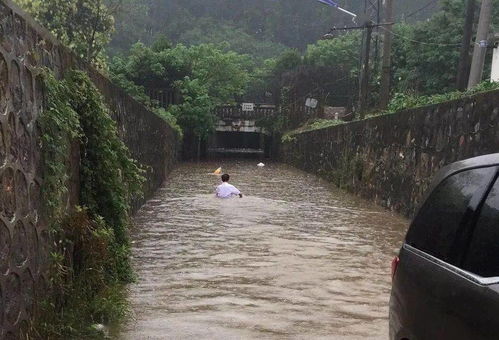 暴雨天必备！这10个安全提醒一定要牢记