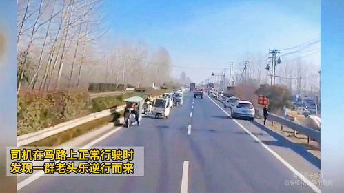 收费站口惊现数十辆'老头乐'欲上高速，官方果断劝返！