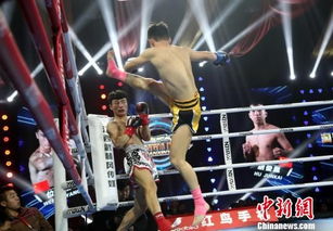 IG输了！粉丝怒问该谁背锅？