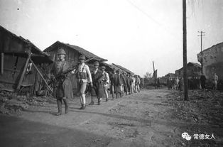 末日保护者二创的奇妙之旅