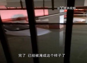 北京密云小区积水惊人，强降雨引发诸多灾情