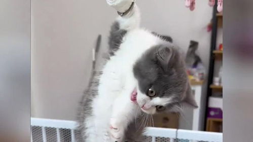 7月28日吧友分享超搞笑乐子，快来看！