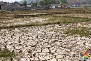 河北特大暴雨河南却严重干旱？背后真相令人深思