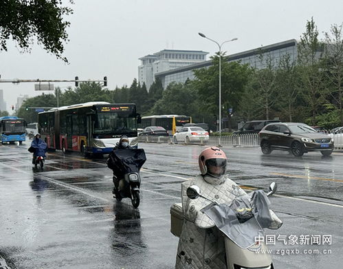 北京天津河北防汛升级！多地暴雨来袭需警惕